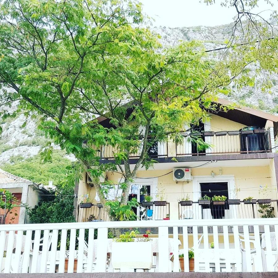 Montenegro Apartmant'S Kotor Extérieur photo