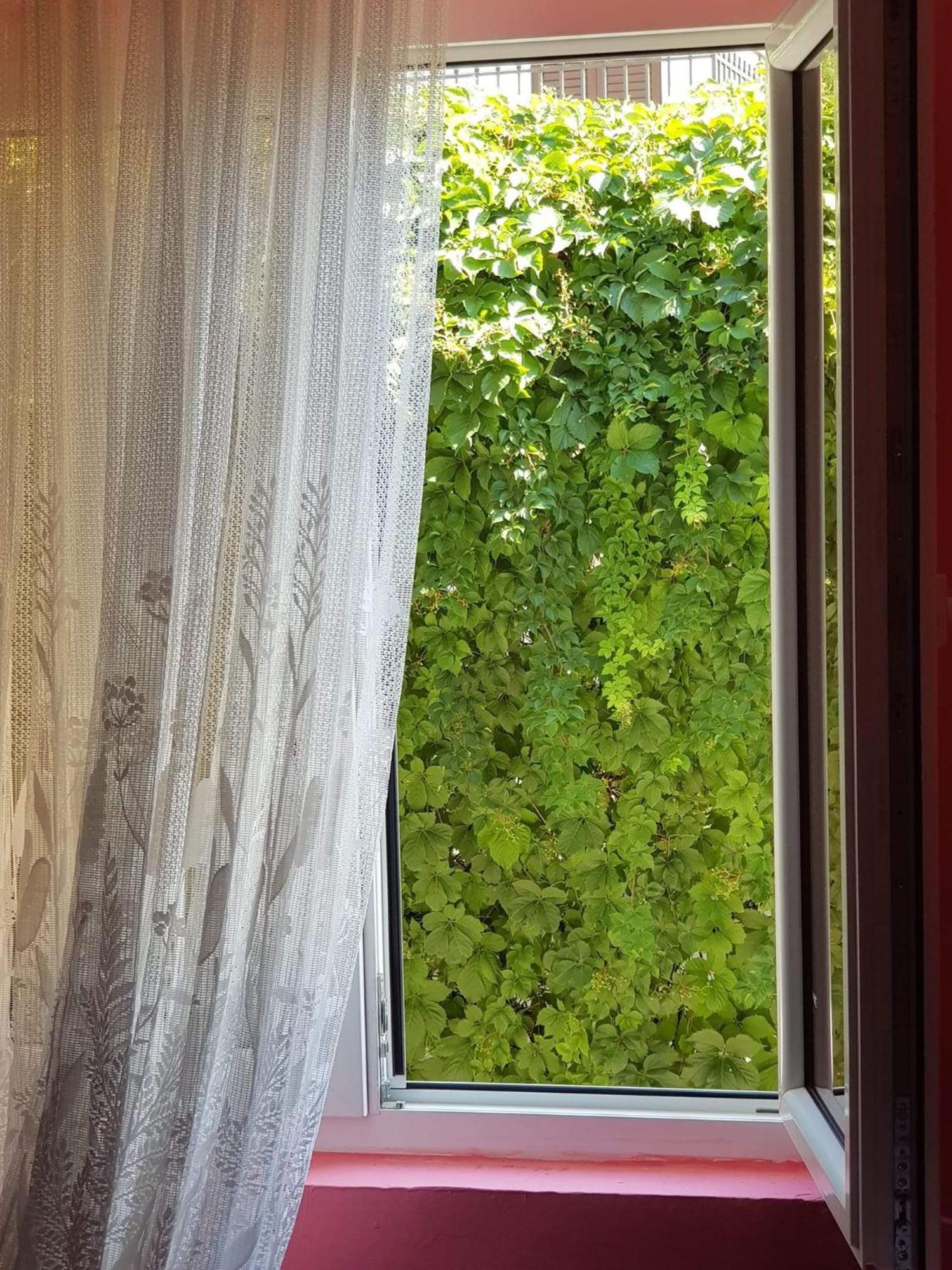 Montenegro Apartmant'S Kotor Chambre photo